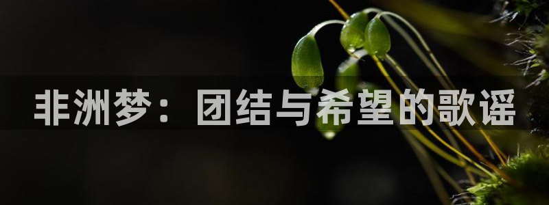 世界杯2026比赛时间表:非洲梦:团结与希望的歌谣