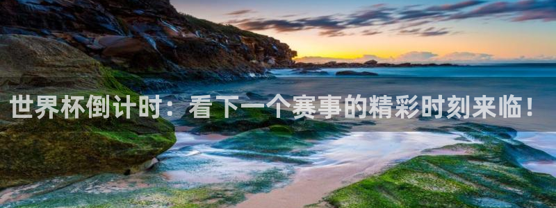 足球世预赛:世界杯倒计时:看下一个赛事的精彩时刻来临!