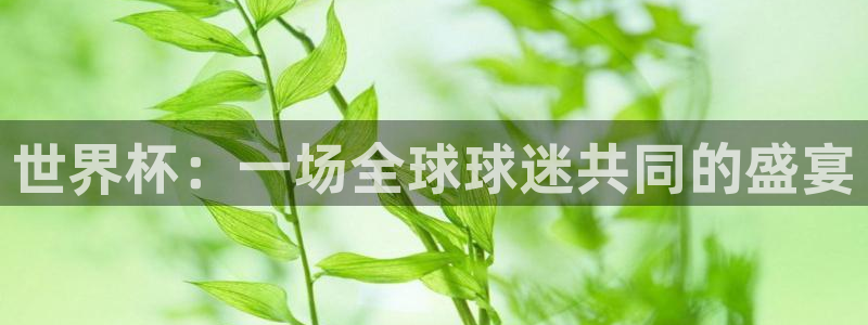 2026世界杯欧洲预选赛赛程表:世界杯:一场全球球迷共同的盛宴