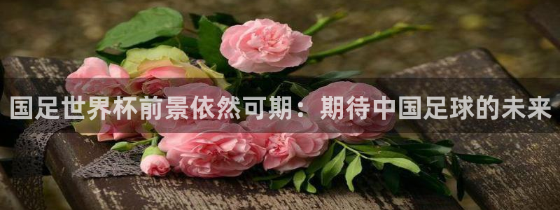 2026世界杯德国队阵容:国足世界杯前景依然可期:期待中国足球的未来