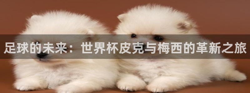 世界杯决赛直播:足球的未来:世界杯皮克与梅西的革新之旅